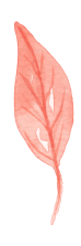 HARVEST_ELEMENTS25
